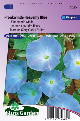 Ipomoea Tricolor zaden Heavenly Blue klimmende winde