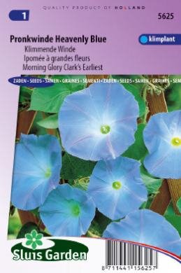 Ipomoea Tricolor zaden Heavenly Blue klimmende winde