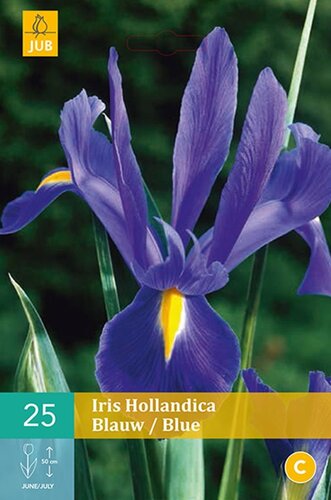 Iris hollandica blauw - afbeelding 1