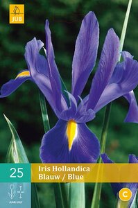 Iris hollandica blauw - afbeelding 1
