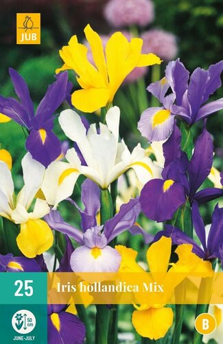 Iris hollandica mix