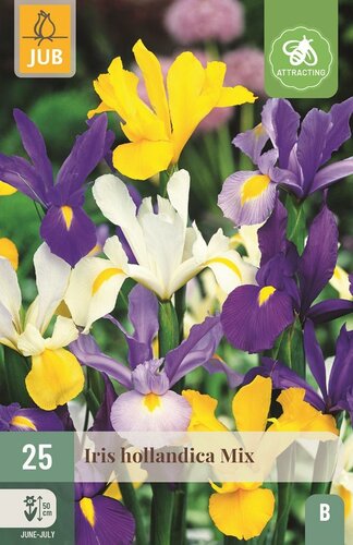 Iris hollandica mix - afbeelding 1