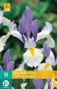 Iris silvery beauty 10 bollen