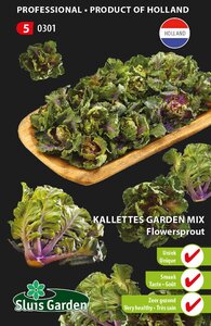 Kalettes garden mix flowersprout