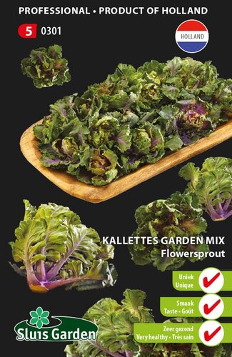 Kalettes garden mix flowersprout zaden