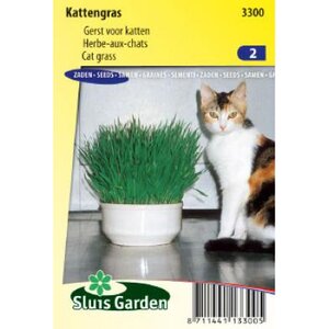 Kattegras zaden hier online te bestellen
