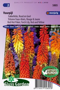 Kniphofia Uvaria zaden Fakkellelie vuurpijl bestellen