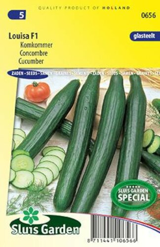 Komkommer zaden Louisa F1
