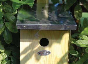 Esschert design koolmees nestkast / vogelhuisje - afbeelding 2