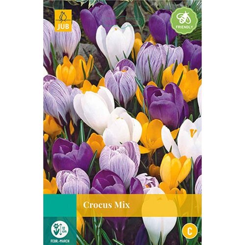 Krokus grootbloemig mix 10 bollen