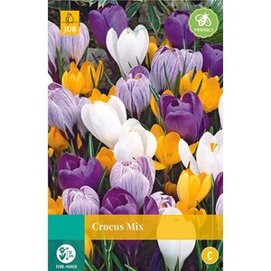 Krokus grootbloemig mix 10 bollen