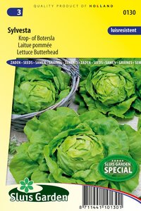 Kropsla Sylvesta koop hier gemakkelijk en snel online