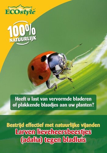 Ecostyle larven van lieveheersbeestje 5 m² - afbeelding 1