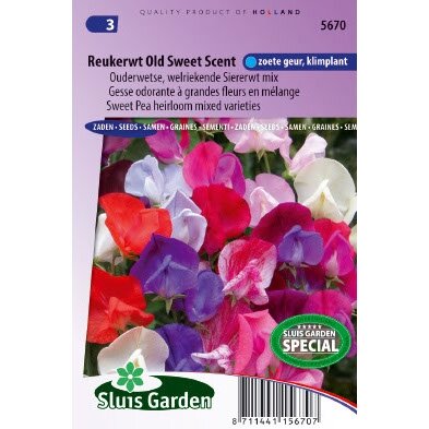 Lathyrus Odoratus zaden Old Sweet Scent reukerwt