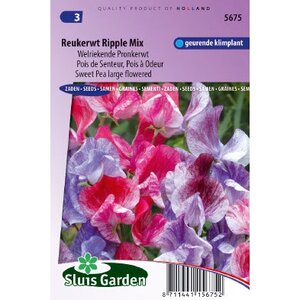 Lathyrus Odoratus zaden Ripple Formula Mix reukerwt