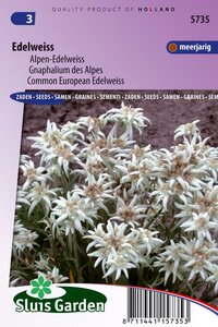 Leontopodium Alpinum zaden Edelweiss bestellen