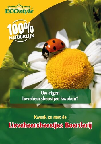 Ecostyle kweek je eigen lieveheersbeestjes - afbeelding 1