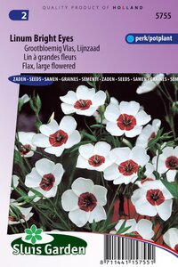 Linum Grandiflorum zaden Bright Eyes vlas
