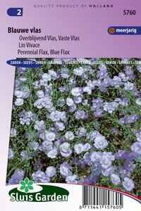 Linum Perenne zaden vlas blauw bestellen online