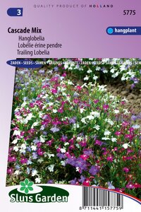 Lobelia Erinus Pendula zaden Cascade Mix bestellen