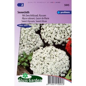 Lobularia Maritima zaden Snowcloth Schildzaad