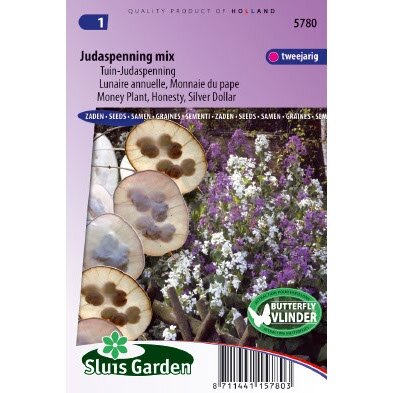 Lunaria Annua zaden Judaspenning Mix tuin