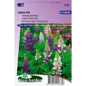 Lupinus Hartwegii zaden Choice Mix Lupine