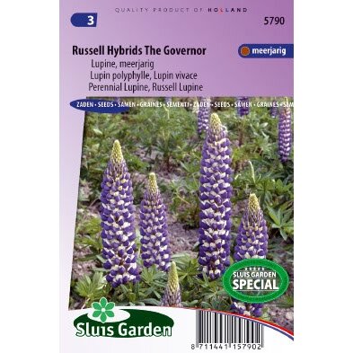 Lupinus zaden Russell Hybrid The Governor lupine