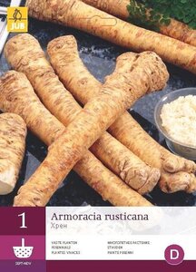 Mierikswortel Armoracia rusticana 1 stuk