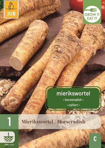 Mierikswortel Armoracia rusticana