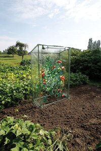 Nature mini tomatentuinkas - afbeelding 2