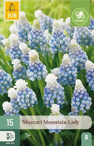 Muscari Mountain Lady 15 bollen - afbeelding 1