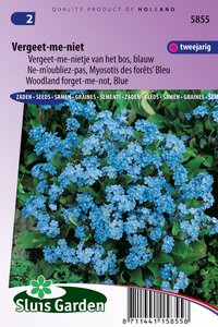 Myosotis Indigo zaden Vergeet-Mij-Niet blauw