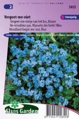 Myosotis Indigo zaden Vergeet-Mij-Niet blauw