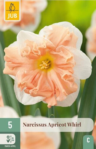 Narcis apricot whirl 5 bollen - afbeelding 1