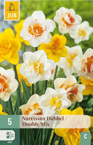 Narcis dubbel mix 5 bollen