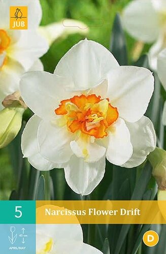 Narcis flower drift 5 bollen