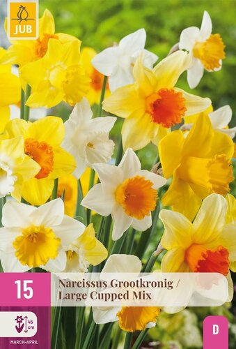 Narcis grootkronig mix 15 bollen