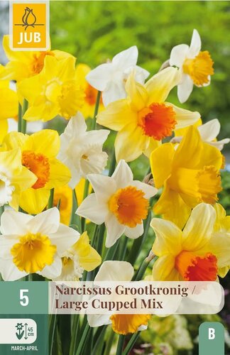 Narcis grootkronig mix 5 bollen - afbeelding 1