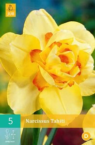 Narcis tahiti 5 bollen - afbeelding 3