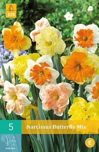 Narcis spleetkronige mix 5 stuks