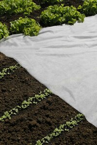 Nature afdekvlies 5 x 2 meter wit - afbeelding 2