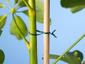 Nature bindband met metalen kern 100 m groen