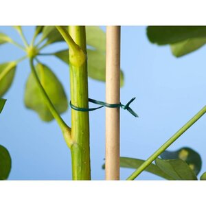 Nature bindband met metalen kern 50 m groen - afbeelding 2