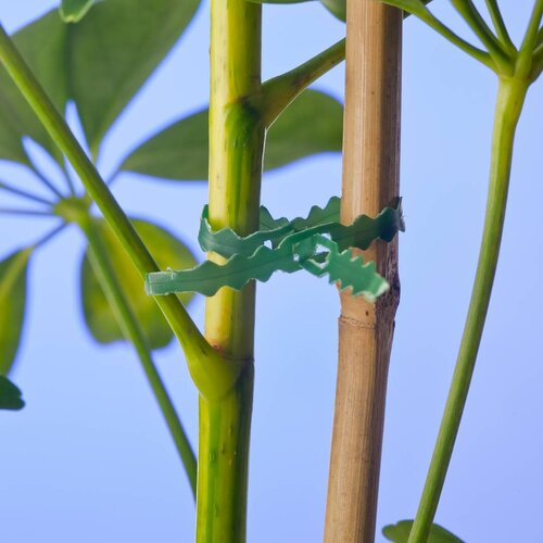 Nature bindband met rattenstaartsluiting 25 meter - afbeelding 2