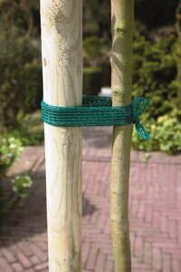 Nature boomband 2 meter - afbeelding 2