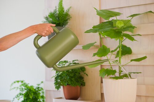 Nature gieter groen 3.8 liter - afbeelding 2