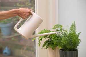 Nature gieter ivoor 1.5 liter - afbeelding 2