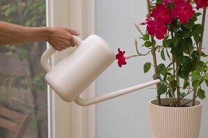 Nature gieter ivoor 3.8 liter - afbeelding 2