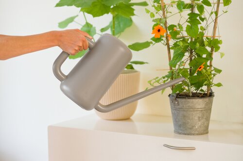 Nature gieter taupe 3.8 liter - afbeelding 2